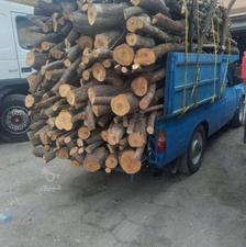 خرید وفروش چوب وبرش درخت مزاهم وخشک بااکیپ کامل