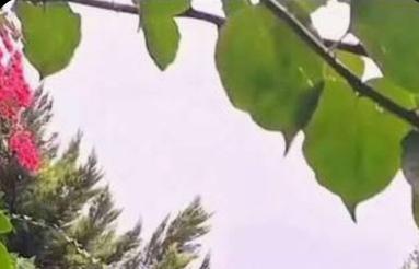 105 متر زمین فروش فوری