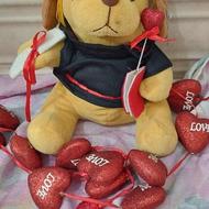 فروش یک عدد عروسک سگ دانشگاهی