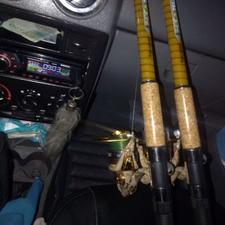 لنسر سی هورس دو عدد باچرخ ونخ