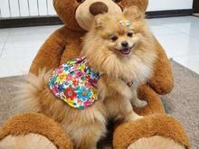 نظافت منزل پخت وپز وکودک 8ساله دختر در شیپور