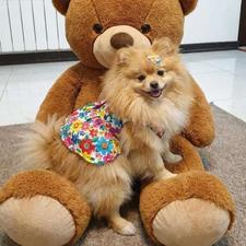 نظافت منزل پخت وپز