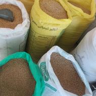 دانه پارس عالی