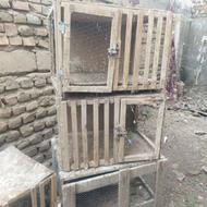 قفس کبوتر ومرغ