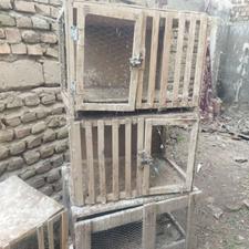 قفس کبوتر ومرغ