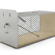 قفس فلزی و چوبی