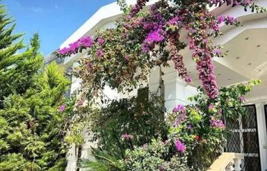 فروش ویلا 300 متر در امیرآباد