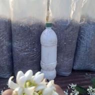 خاک گلدان ،خاک اپارتمانی ،خاکبرگ