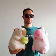 عروسک کپی بارا کاپی بارا