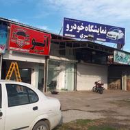 سرمایه گذار در اتوگالری