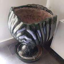 فروش گلدان بزرگ آپارتمانی