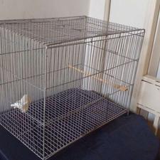 قفس پرنده تمیز