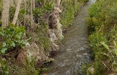 فروش نهصد متر باغچه