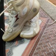 نیم پوت استوک 42