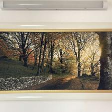 دو عدد تابلو فرش قرینه