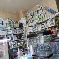 آکواریوم جزیره