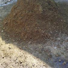 پهن گاو کود حیوانی