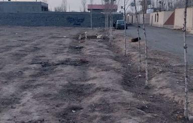 زیر قیمت منطقه رامجین از قیمت کاسبی پایین تر هست