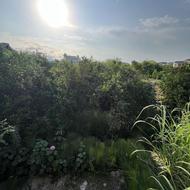 زمین سنددار با جواز ساخت نزدیک دریا نشتارود شمسآباد