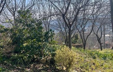 فروش زمین مسکونی 630 متر در شکتا با چشم انداز عالی