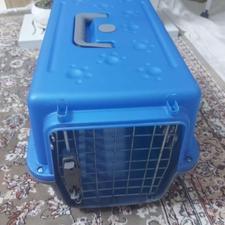 باکس سگ وگربه