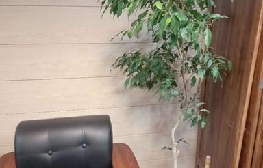 اجاره مغازه شیک  80 متر در فرهنگ