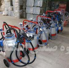 گوسفنددوش گاودوش بزدوش دستی/برقی (تا 48 گاو در 1 ساعت)