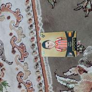 کیمدی داوید ویا قیمت مناسب