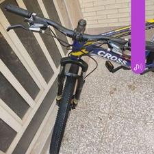 دوچرخه لوکس