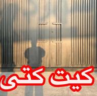 دروازه درب مخفی دار طرح کیت کت