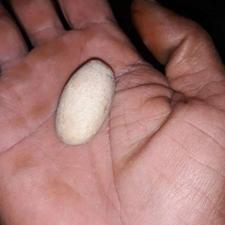 خرمهره اصل افغانستان