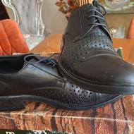 کفش تمام چرم مجلسی