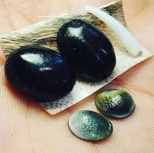 مهره مار اصل شاه کبری ضمانتی