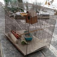 قفس پرنده و قناری