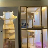 پانسیون سگ و گربه