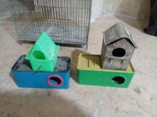 قفس ولوازم پرنده در شیپور