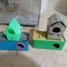 قفس ولوازم پرنده