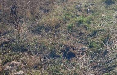 2500 متر زمین کشاورزی