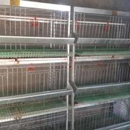 قفس مرغ تخم گذار