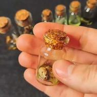 مهره مار اصل شاه کبری با روغن