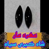 مهره مار اصل زنده جفت زنگی