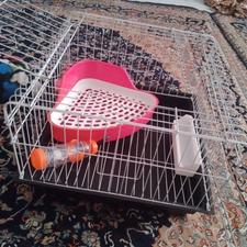 قفس خرگوش دست نخورده