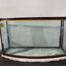 اکواریوم سالم