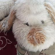 عروسک سگ پشمالو سایز بزرگ