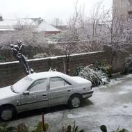 روآسال دوگانه کارخونه88