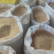 دان مرغ مش مخلوط دان پلت تخمگذار اقتصادی