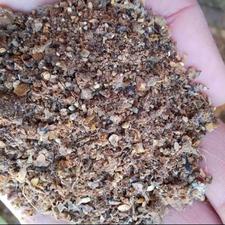 خوراک دام نهاده اقتصادی