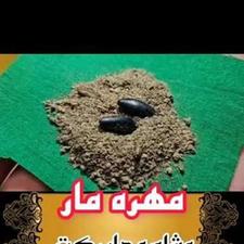 مهره مار اصل جذب فعال