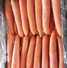 هویج‌ درجه یک صادراتی