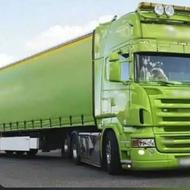 خریدارایویکو استرالیس